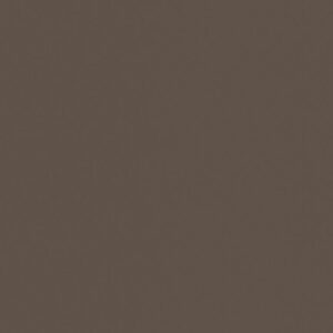 Próbka Brąz trufla U748